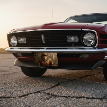 Clemson Tigers License Plate 6"x12" Aluminum Car Tag | All In Tigers | Flat Tag