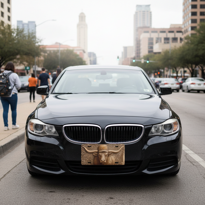 Texas Longhorns License Plate 6"x12" Car Tag | Flat Front Plate for Fans