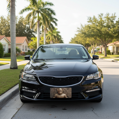 USF Go Bulls Fan License Plate - Flat Metal Car Tag for South Florida