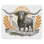 Texas Austin Mouse Pad 9.5"x8" Longhorn Collegiate Fan Gift - Desk Accessory