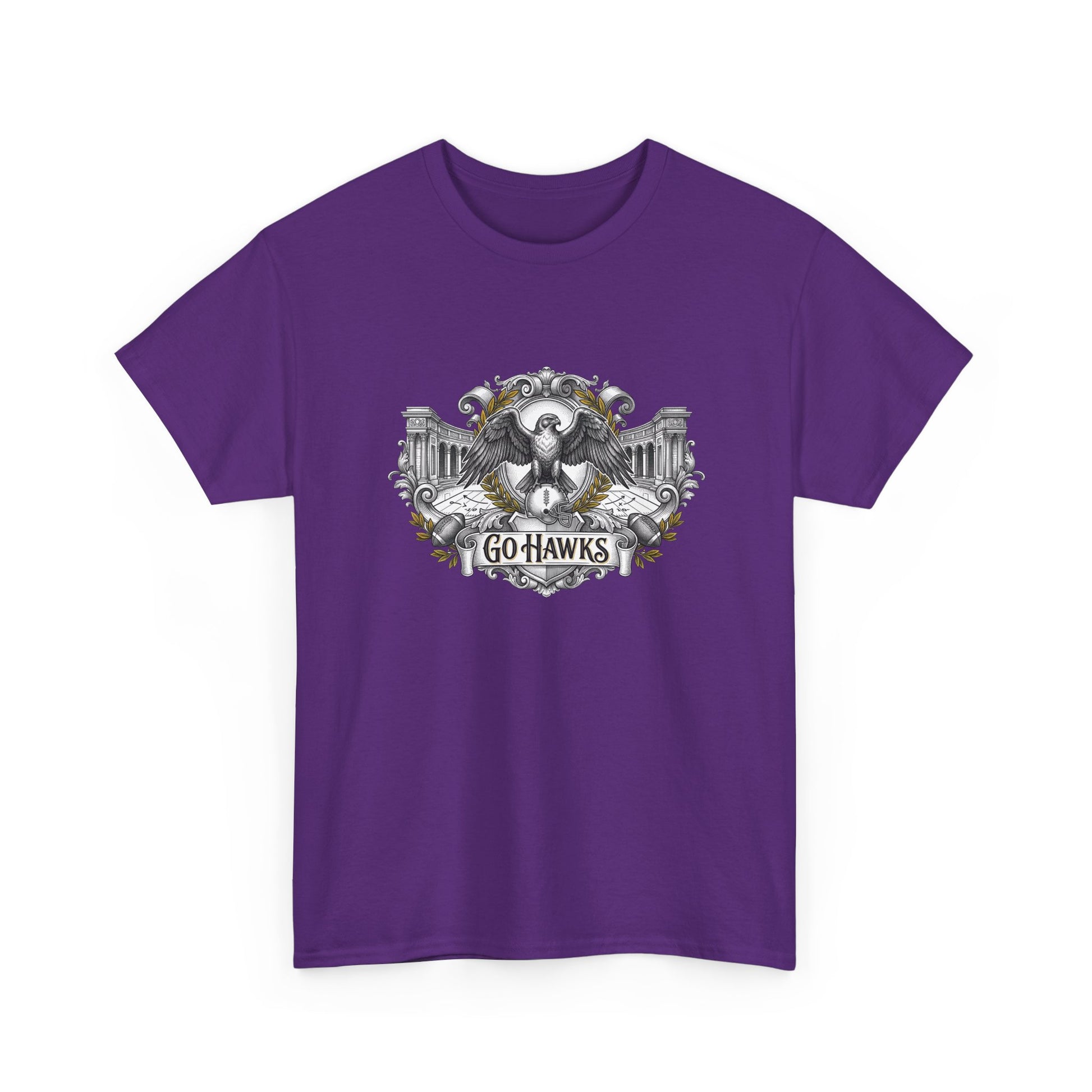 Go Hawks Eagle T-Shirt - Vintage Style Team Tee