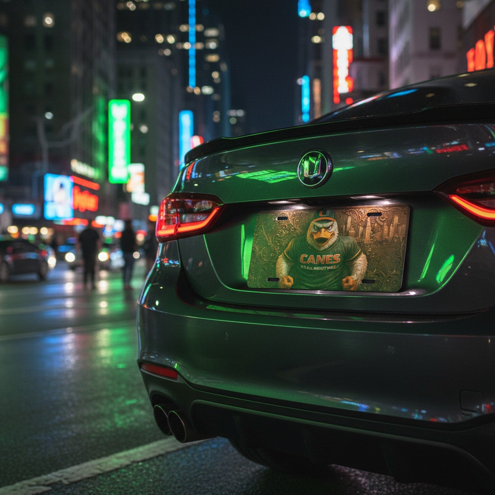 Miami Hurricanes Sebastian t 6"x12" Aluminum Car Tag | Flat Front Plate for