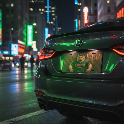 Miami Hurricanes Sebastian t 6"x12" Aluminum Car Tag | Flat Front Plate for