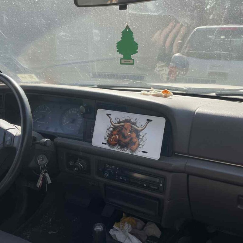 Texas Longhorns License Plate 6"x12" Car Tag | Front Plate for Hook 'em Fans