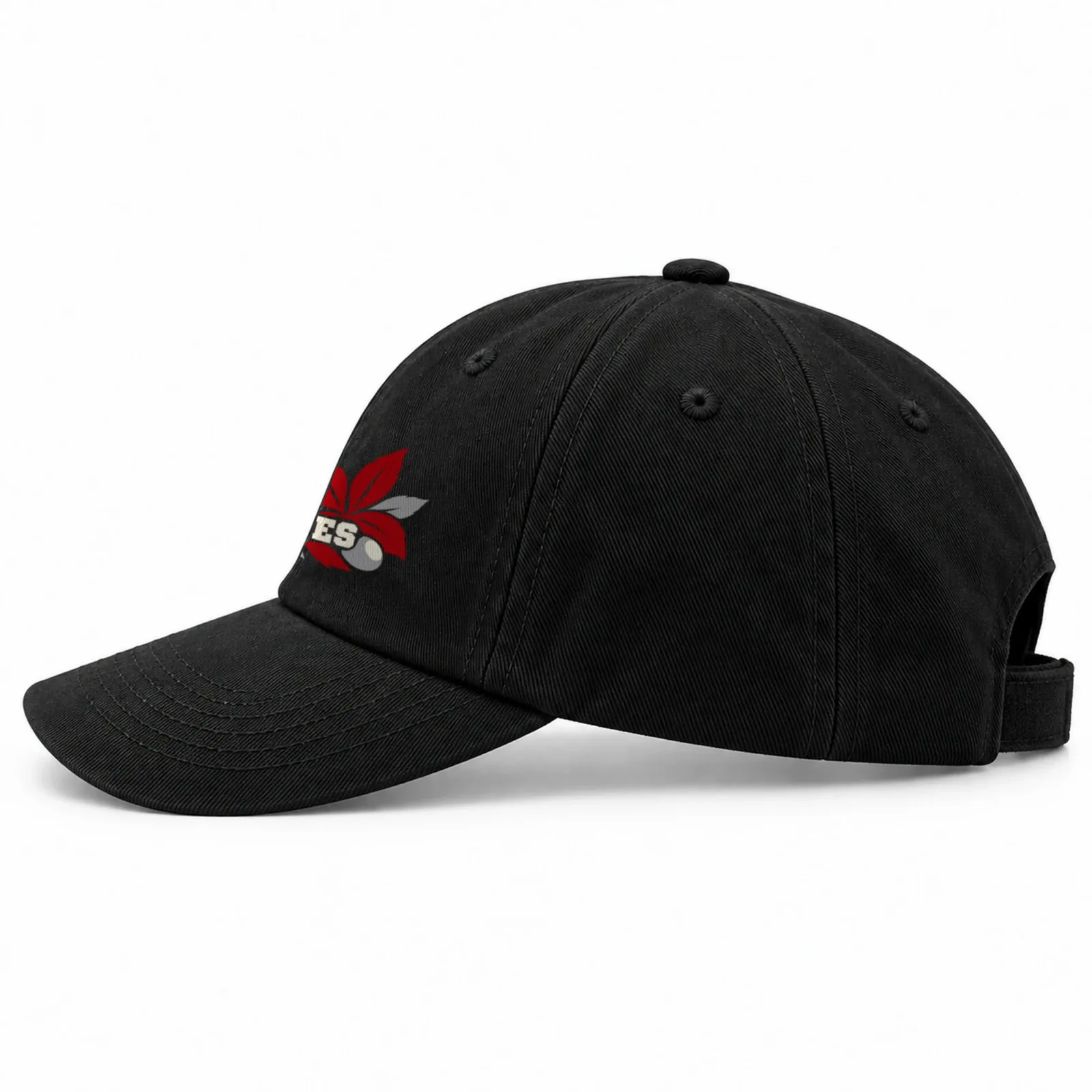 Ohio State Buckeyes Cap - Black Baseball Cap, Flat DTF Print, Not Embroidered or a Patch